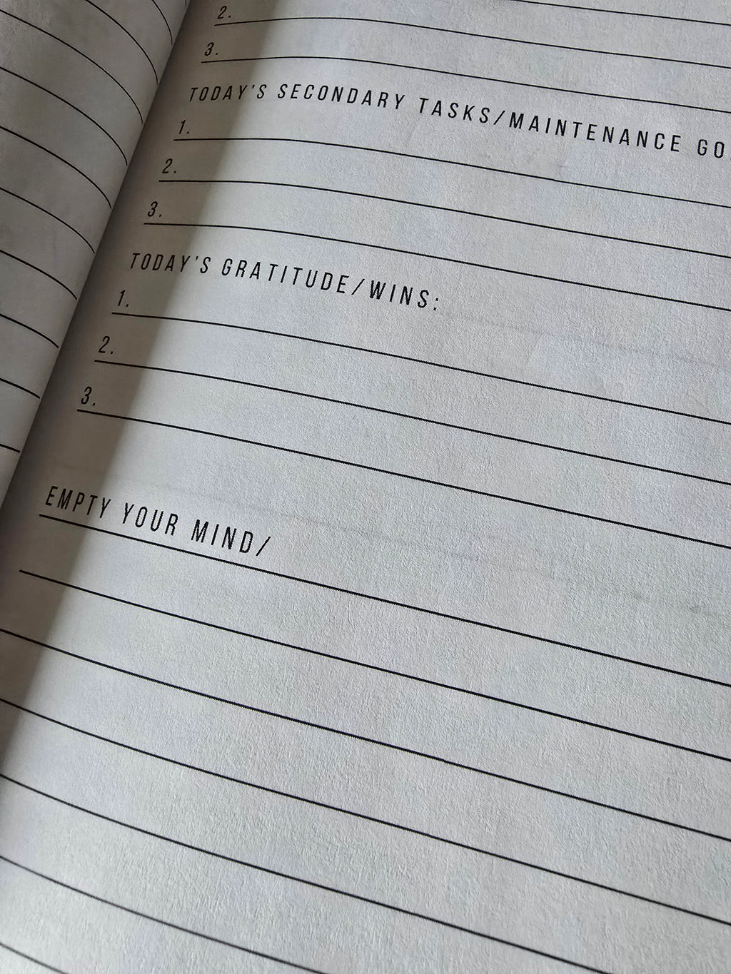 Daily Goals and Gratitude Journal