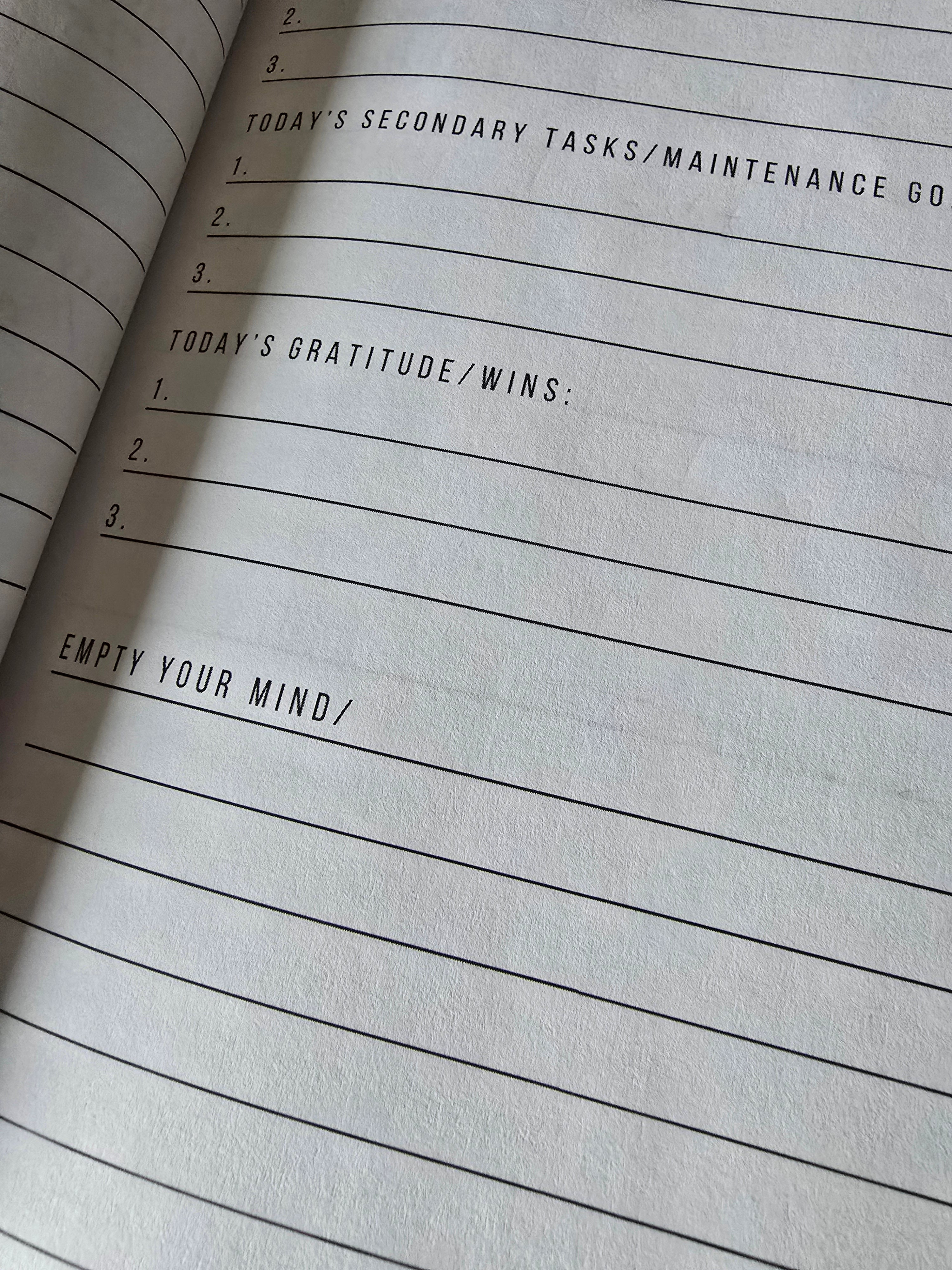 Daily Goals and Gratitude Journal